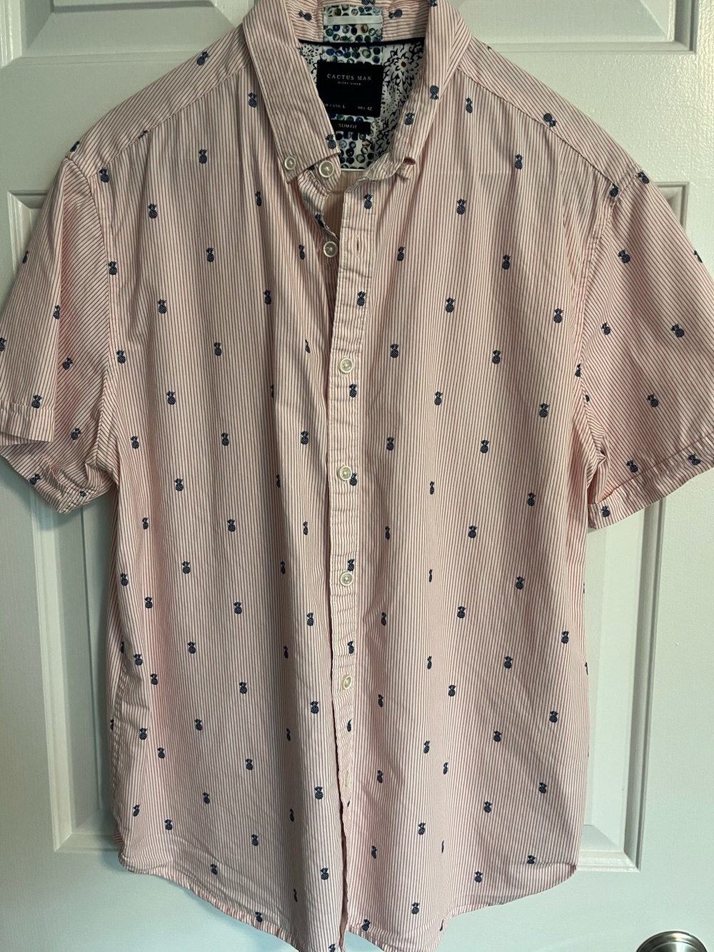 Cactus Man Pink Button Down Shirt with Fine Stripes and Pineapple Motif.